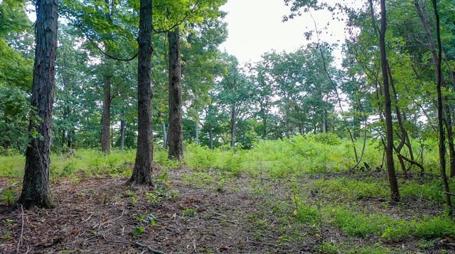 7659 Burks Rd, Christiana, TN 37037