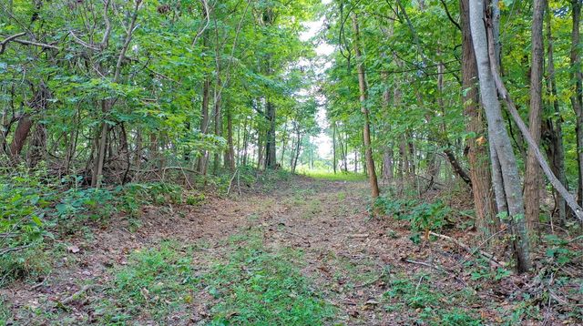 7659 Burks Rd, Christiana, TN 37037