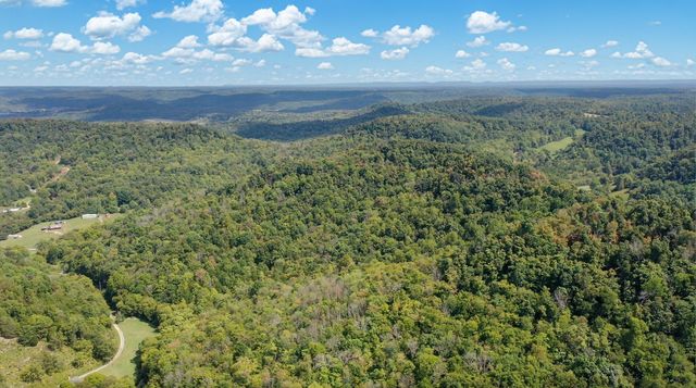 7659 Burks Rd, Christiana, TN 37037