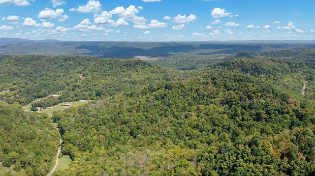 7659 Burks Rd, Christiana, TN 37037