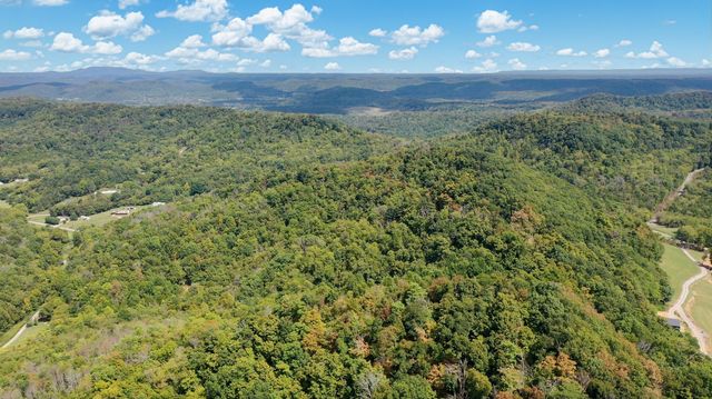 7659 Burks Rd, Christiana, TN 37037