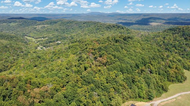 7659 Burks Rd, Christiana, TN 37037
