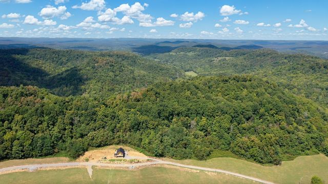 7659 Burks Rd, Christiana, TN 37037
