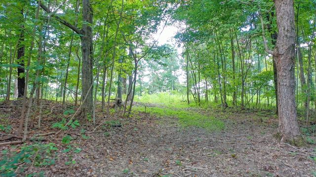 7659 Burks Rd, Christiana, TN 37037