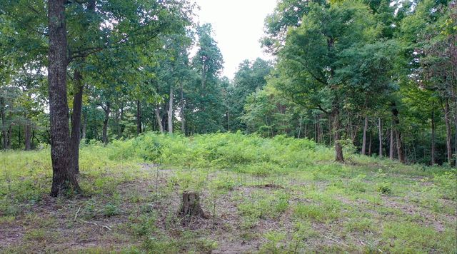 7659 Burks Rd, Christiana, TN 37037