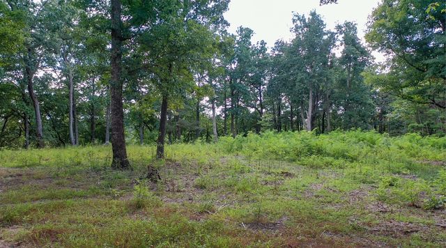 7659 Burks Rd, Christiana, TN 37037
