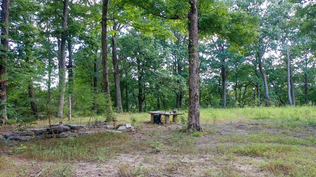7659 Burks Rd, Christiana, TN 37037