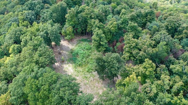 7659 Burks Rd, Christiana, TN 37037