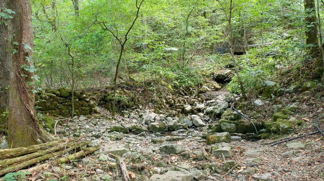 7659 Burks Rd, Christiana, TN 37037