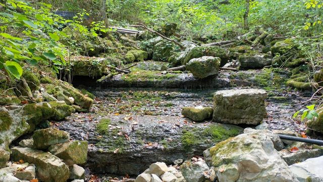 7659 Burks Rd, Christiana, TN 37037