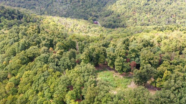 7659 Burks Rd, Christiana, TN 37037