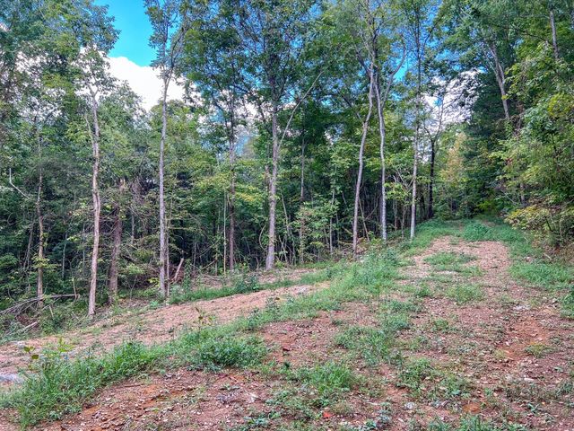 7659 Burks Rd, Christiana, TN 37037