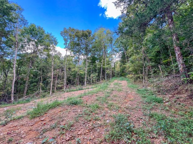 7659 Burks Rd, Christiana, TN 37037