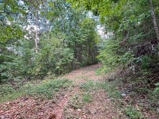 7659 Burks Rd, Christiana, TN 37037