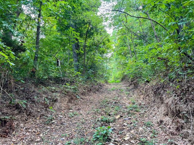 7659 Burks Rd, Christiana, TN 37037