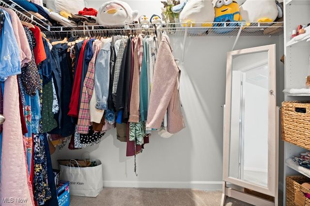 214 Leather Leaf Drive, Elyria, OH 44035