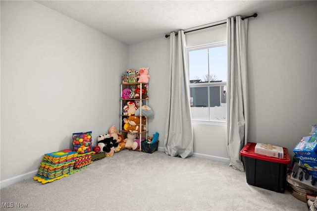 214 Leather Leaf Drive, Elyria, OH 44035