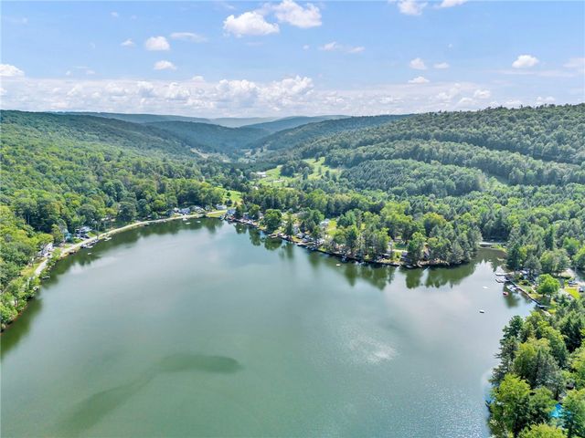 49 Silver Lake Spur Road, Deposit, NY 13754