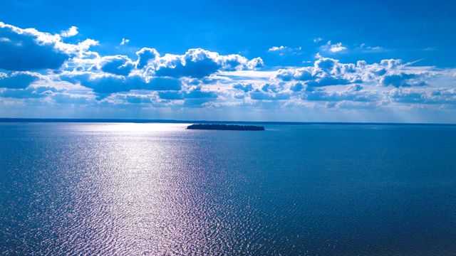 8340 Fm 3126, Livingston, TX 77351