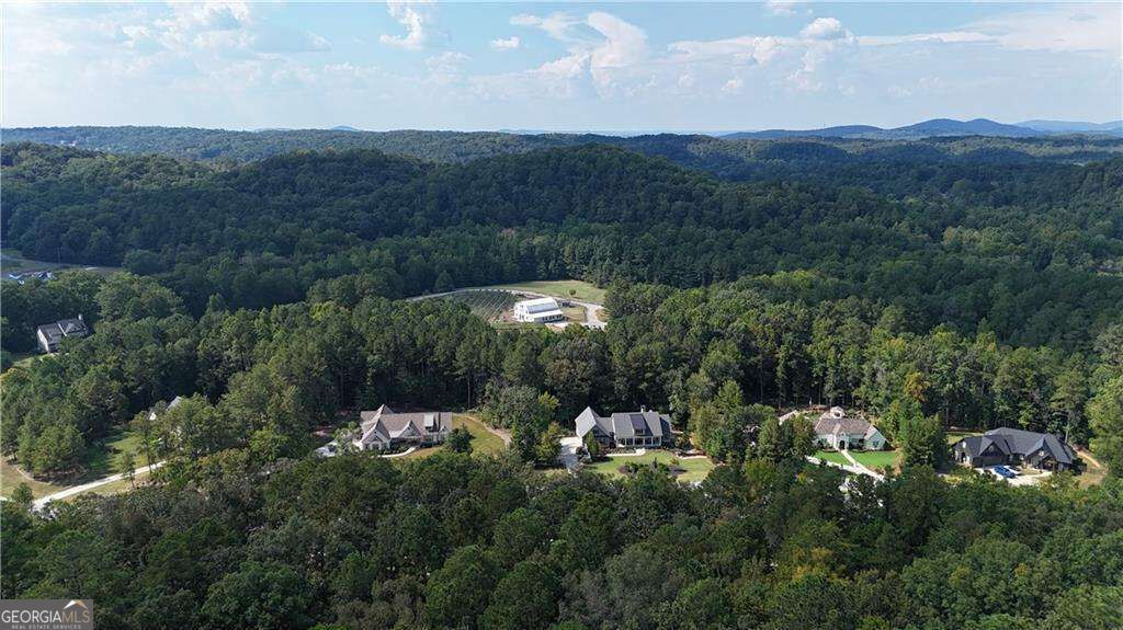 764 Flower Farm Drive, Acworth, GA 30101 — photo 5