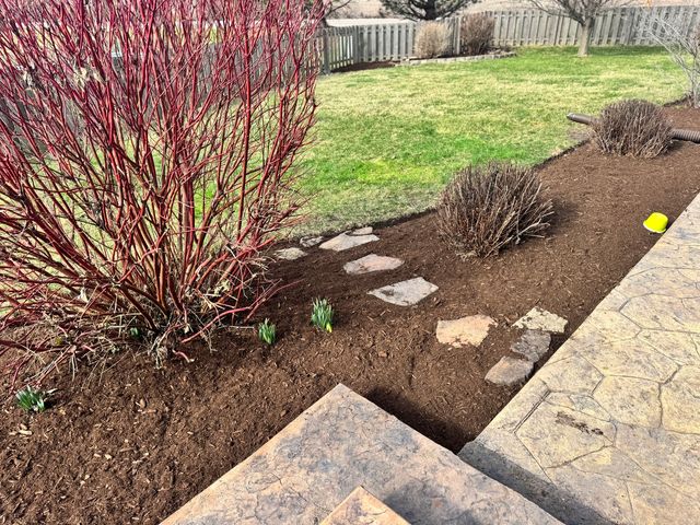 3254 Spokane Way, Montgomery, IL 60538