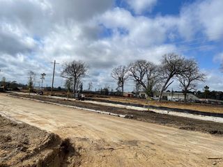 12031 Curlin Drive, Willis, TX 77318