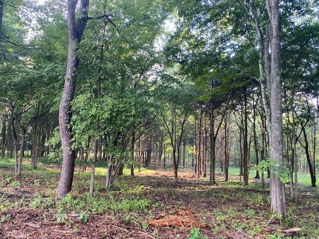 7884 Bill Moss Rd, White House, TN 37188
