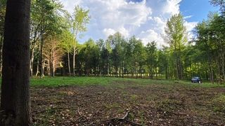 7884 Bill Moss Rd, White House, TN 37188