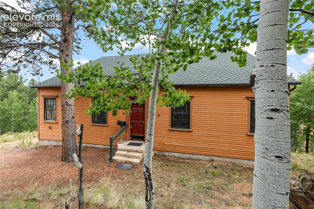 289 Cottonwood Lake Drive, Divide, CO 80814 — photo 5
