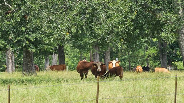 100 E Hill Ranch Lane, New Waverly, TX 77358