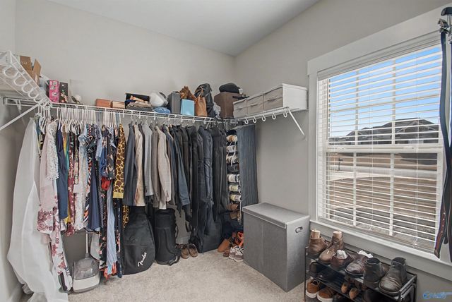 109 Thorogood Drive, Meridianville, AL 35759