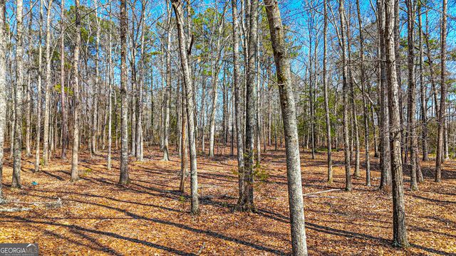 216 Ponderosa Lane, Barnesville, GA 30204