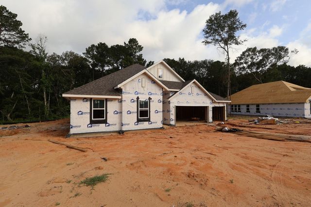 131 Roebuck Lane, New Waverly, TX 77358
