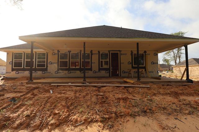 131 Roebuck Lane, New Waverly, TX 77358