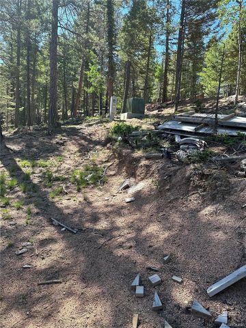 67 Gerka Lane, Florissant, CO 80816