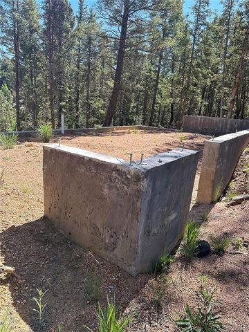 67 Gerka Lane, Florissant, CO 80816