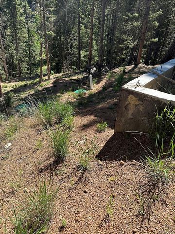 67 Gerka Lane, Florissant, CO 80816