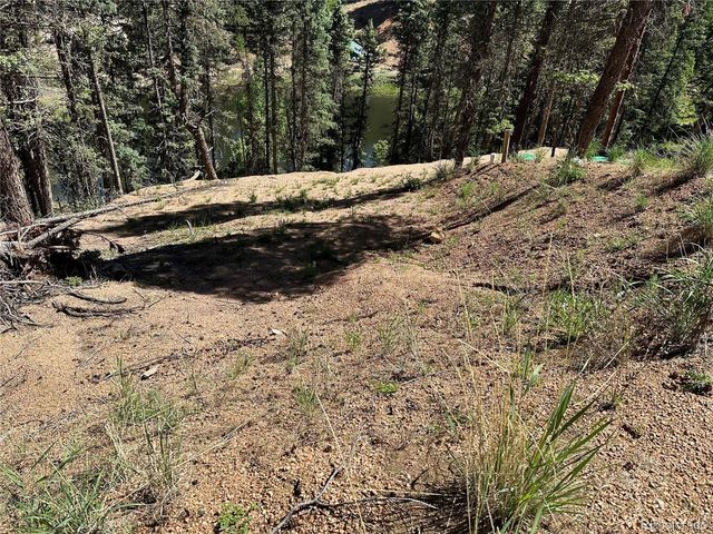 67 Gerka Lane, Florissant, CO 80816