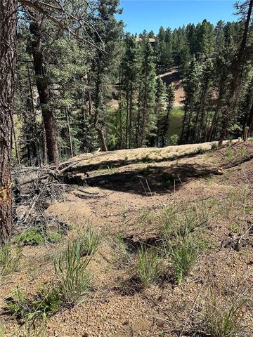 67 Gerka Lane, Florissant, CO 80816