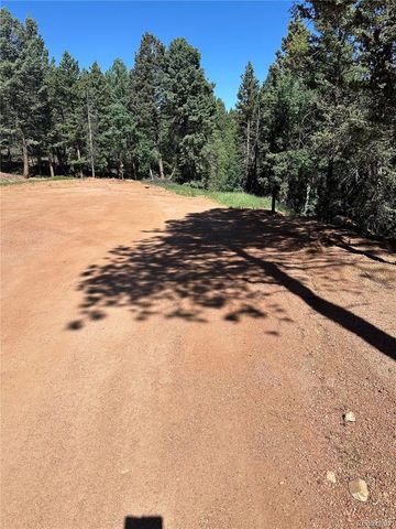 67 Gerka Lane, Florissant, CO 80816