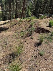 67 Gerka Lane, Florissant, CO 80816