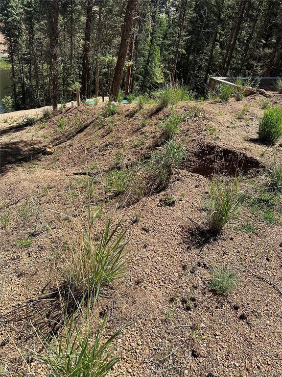 67 Gerka Lane, Florissant, CO 80816