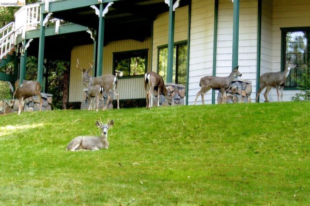 23443 Middle Camp, Twain Harte, CA 95383