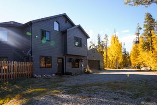 1110 Circle 73, Fairplay, CO 80440