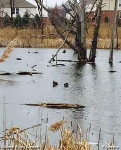 44900 Revere, Novi, MI 48377