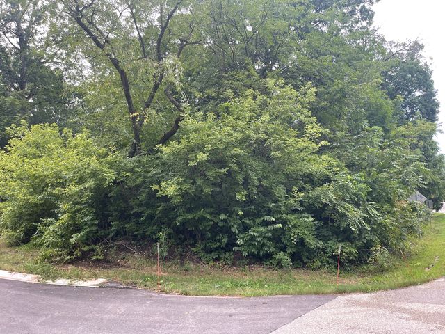 Lot 10 B26 North Boulevard, Mchenry, IL 60051
