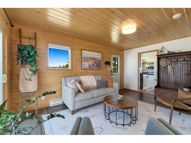 127 Mount Sniktau Ct, Livermore, CO 80536