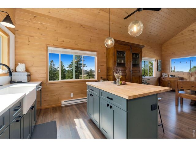 127 Mount Sniktau Ct, Livermore, CO 80536