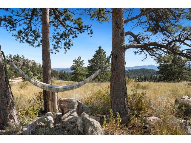 127 Mount Sniktau Ct, Livermore, CO 80536