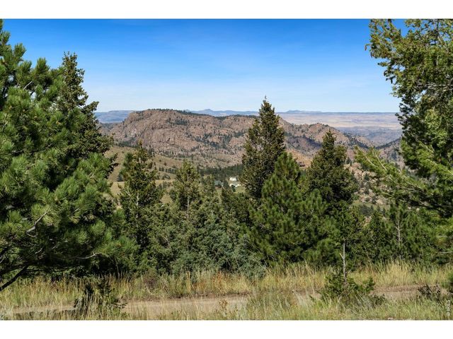 127 Mount Sniktau Ct, Livermore, CO 80536